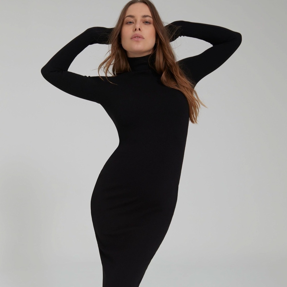 Long Sleeve Turtleneck Bodycon Dress - Black